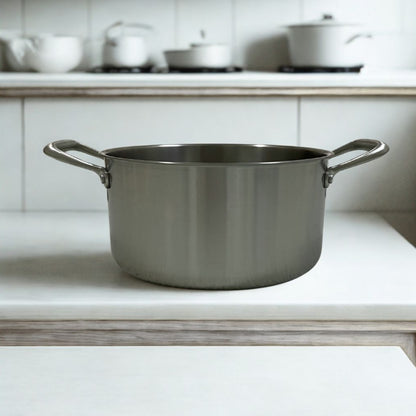 Titanium Guardian Big Pot